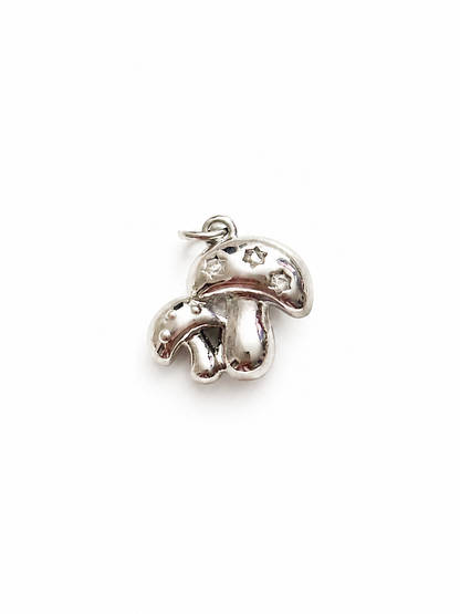 Silver Fall Charms